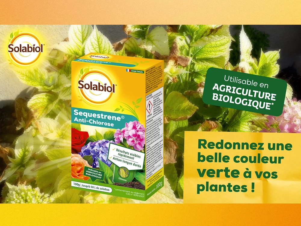 Solabiol Soseq01 | Sequestrene Antichlorose 100g | Action Longue Durée | Fabriq – Image 4