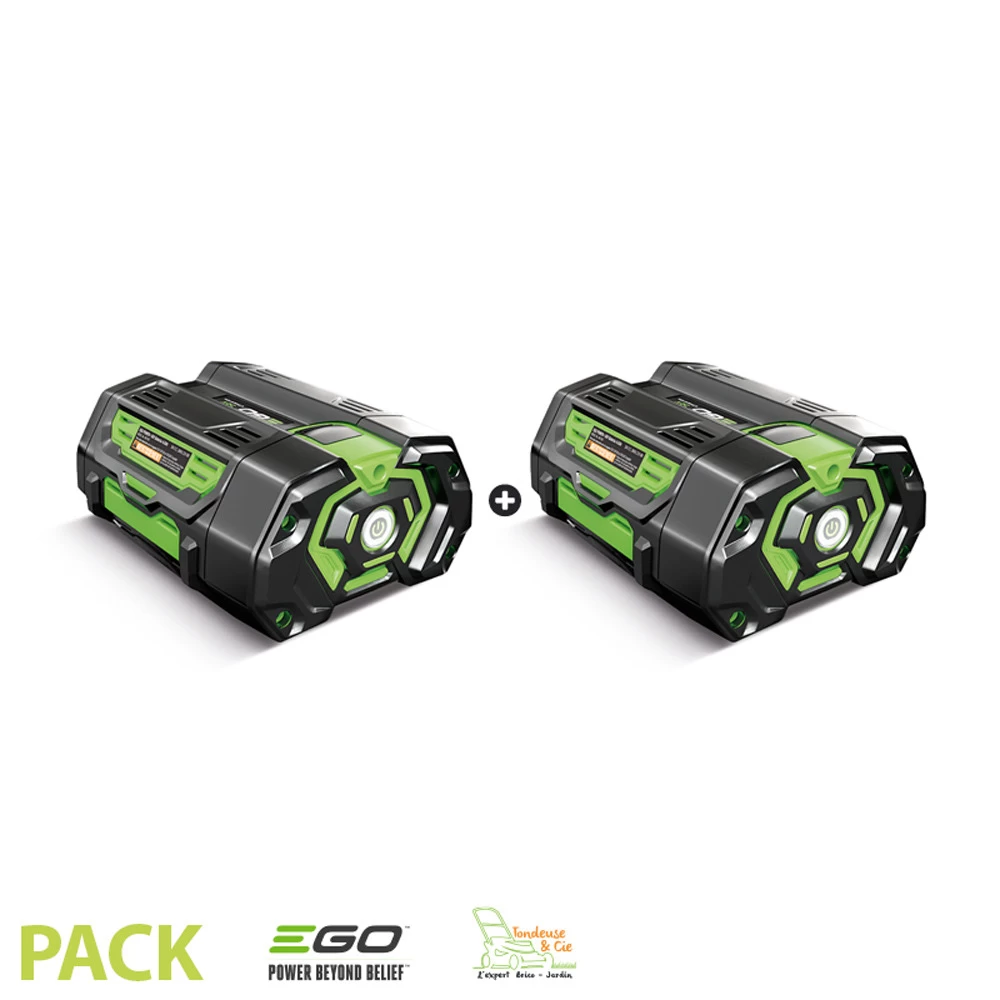 Lot De 2 Batteries 4ah Pour Outil De Jardin Sans Fil Egopower