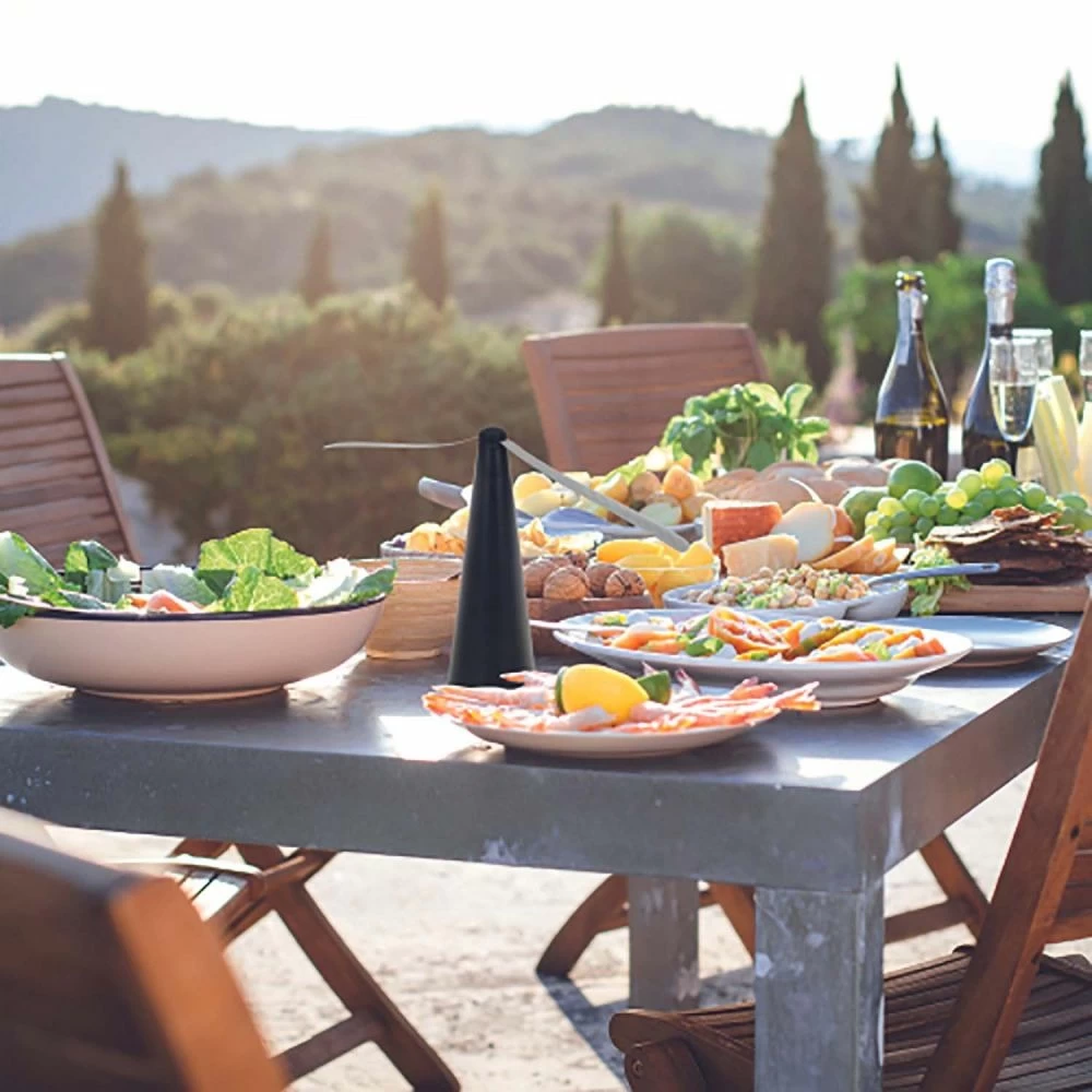 Anti Insectes à Poser Ou à Suspendre – Image 2