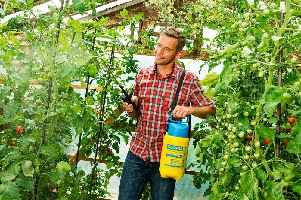 Gloria Pulvérisateur A Main Gloria - Modele Prima 3 - Avec Lance Et Sangle - Réservoir Polyéthylene - 3l Pour Une Pression De – Image 2