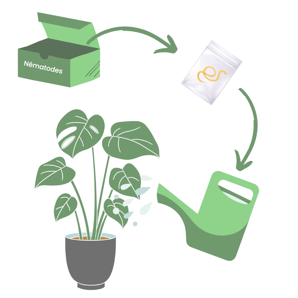 Pulvérisateur à Pression Pour Nématodes – Image 2