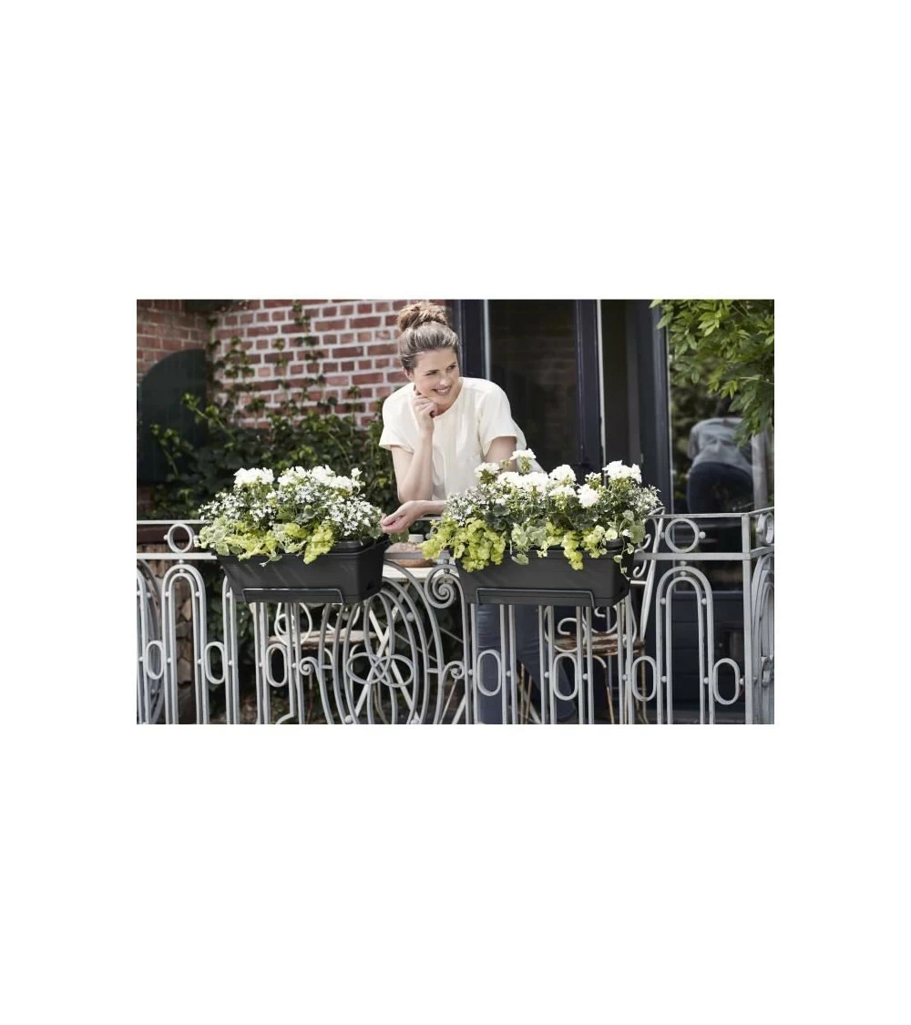 Elho Balconniere Green Basics Allin1 55 - Extérieur & Balcon - Xl - L 32,3 X W 56,4 X H 22,7 Cm - Vivre Noir – Image 4