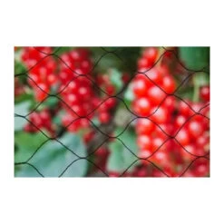 Nature Filet Anti-oiseaux Primo 10x2m En Maille Tricotée Polyéthylene 12gr/m² Noir
