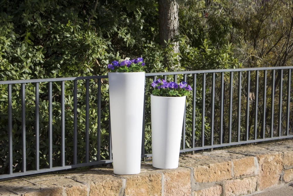 Pot De Fleurs Ficus 80 ø29x79cm - Blanc – Image 4