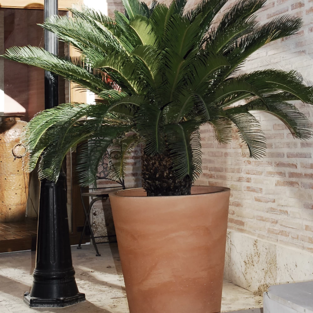 Pot De Fleurs Gerbera ø50x59,5cm - Bronze – Image 2