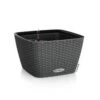 LECHUZA Jardinière Bacino Cottage All-in-one 30x30 Cm Noir Graphite