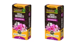 Solabiol Terorc6x2 | 2 Terreaux Orchidées | Tourbe Et Ecorces De Pin | Brun | 2