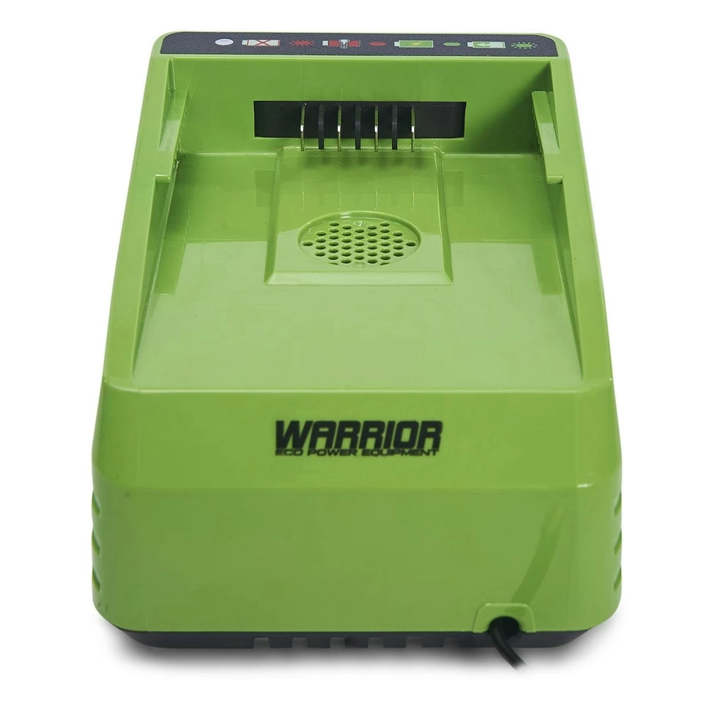 Chargeur De Batterie Lithium 60v Charge Rapide Warrior – Image 3